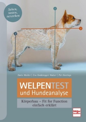 Bild zu Welpentest und Hundeanalyse