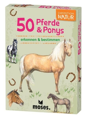 Bild zu 50 Pferde & Ponys