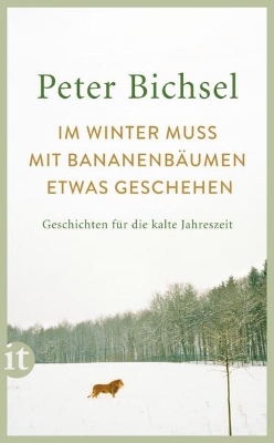 Bild von Im Winter muss mit Bananenbäumen etwas geschehen