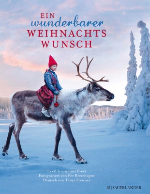 Bild von Ein wunderbarer Weihnachtswunsch