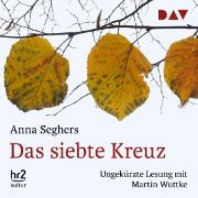 Bild von Das siebte Kreuz (Audio Download)