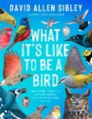 Bild von What It's Like to Be a Bird (Adapted for Young Readers) (eBook)