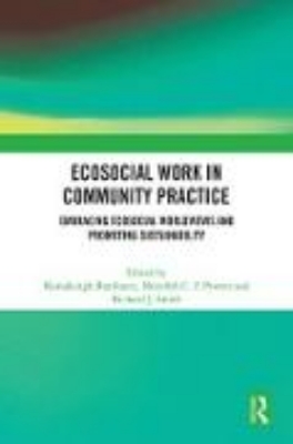 Bild von Ecosocial Work in Community Practice (eBook)