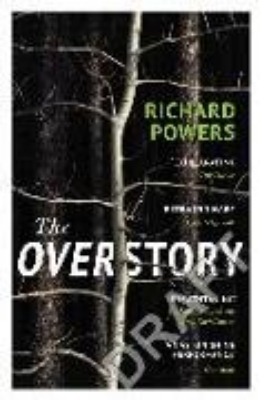 Bild von The Overstory