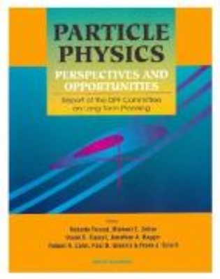 Bild von Particle Physics: Perspectives And Opportunities - Report Of The Dpf Committee On Long-term Planning (eBook)