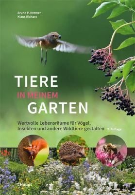 Bild zu Tiere in meinem Garten