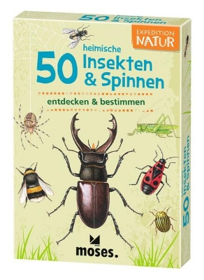 Bild von 50 heimische Insekten & Spinnen