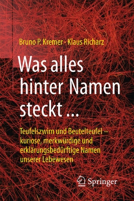 Bild zu Was alles hinter Namen steckt (eBook)