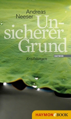 Bild von Unsicherer Grund (eBook)