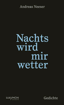 Bild von Nachts wird mir wetter (eBook)