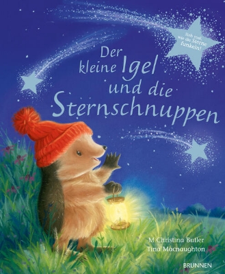 Bild von Der kleine Igel und die Sternschnuppen