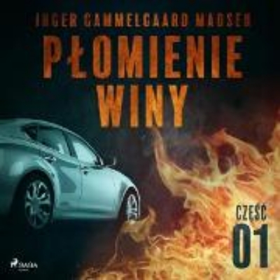 Bild zu Plomienie winy: czesc 1 (Audio Download)