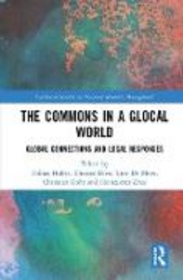 Bild von The Commons in a Glocal World (eBook)