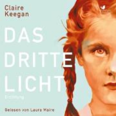 Bild von Das dritte Licht (Audio Download)