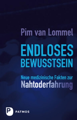 Bild von Endloses Bewusstsein (eBook)