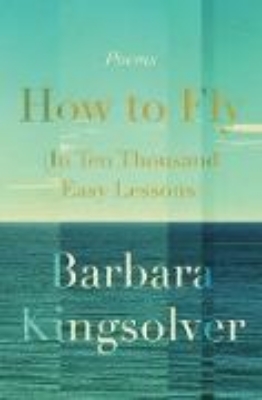 Bild von How to Fly (In Ten Thousand Easy Lessons) (eBook)