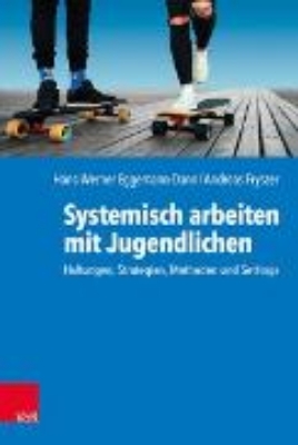 Bild von Systemisch arbeiten mit Jugendlichen (eBook)