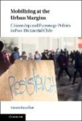 Bild von Mobilizing at the Urban Margins (eBook)