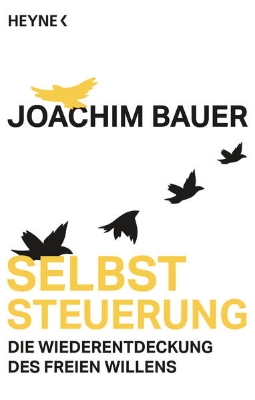 Bild von Selbststeuerung