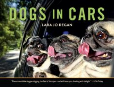 Bild von Dogs in Cars