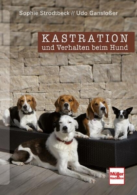 Bild von Kastration und Verhalten beim Hund