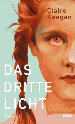 Bild von Das dritte Licht (eBook)