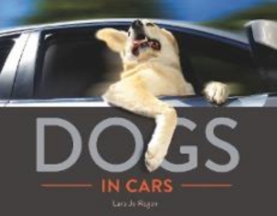 Bild von Dogs in Cars (eBook)