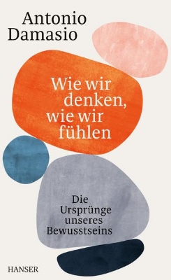 Bild von Wie wir denken, wie wir fühlen (eBook)