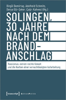 Bild von Solingen, 30 Jahre nach dem Brandanschlag (eBook)