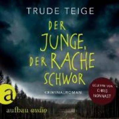 Bild von Der Junge, der Rache schwor (Audio Download)