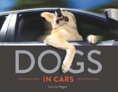 Bild von Dogs in Cars