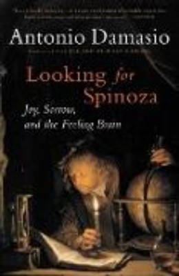 Bild von Looking for Spinoza (eBook)