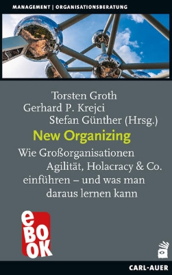 Bild von New Organizing (eBook)