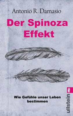 Bild von Der Spinoza-Effekt (eBook)