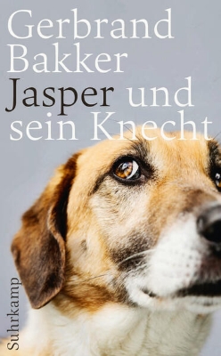 Bild von Jasper und sein Knecht (eBook)