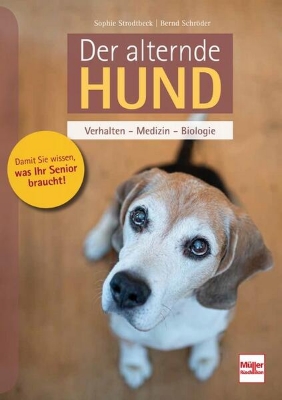 Bild von Der alternde Hund