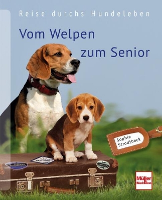 Bild zu Vom Welpen zum Senior