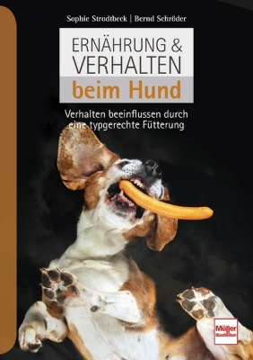 Bild zu Ernährung & Verhalten beim Hund