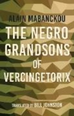 Bild zu The Negro Grandsons of Vercingetorix (eBook)