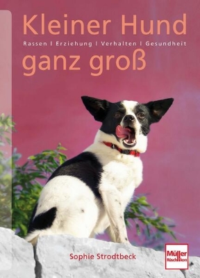 Bild von Kleiner Hund ganz groß