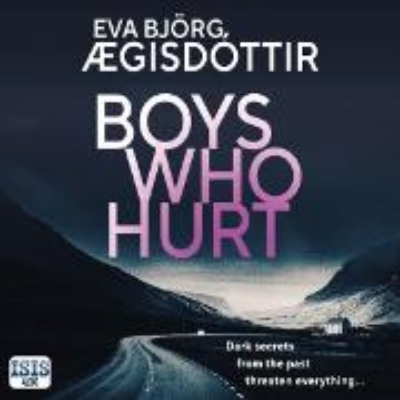 Bild von Boys Who Hurt (Audio Download)