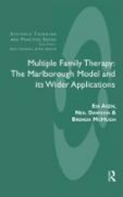 Bild von Multiple Family Therapy (eBook)