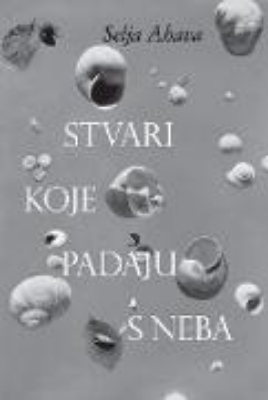 Bild von Stvari koje padaju s neba (eBook)