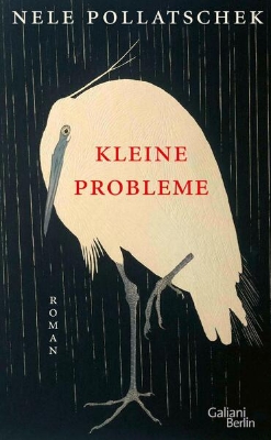 Bild von Kleine Probleme (eBook)