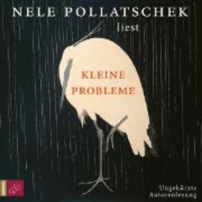 Bild von Kleine Probleme (Audio Download)