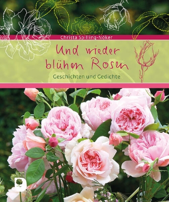 Bild von Und wieder blühen Rosen