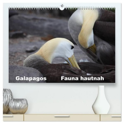 Bild von Galapagos. Fauna hautnah (hochwertiger Premium Wandkalender 2025 DIN A2 quer), Kunstdruck in Hochglanz