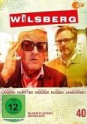 Bild von Wilsberg