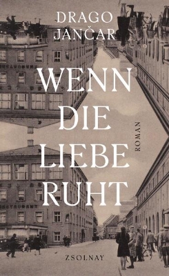 Bild von Wenn die Liebe ruht (eBook)