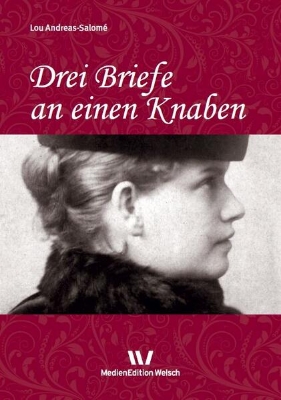 Bild von Drei Briefe an einen Knaben (eBook)